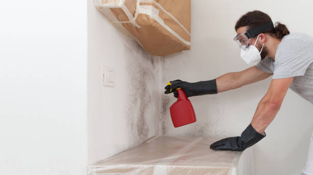 Attic Mold Remediation treatment on roof deck in Leola